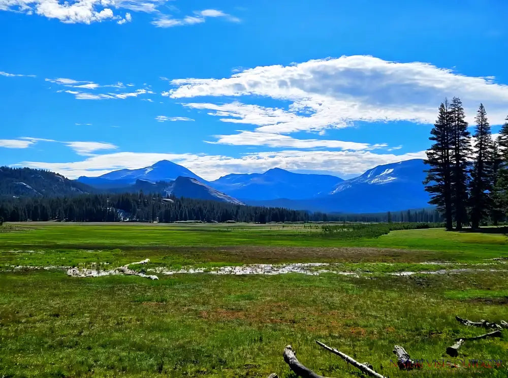 Tuolumne Meadows